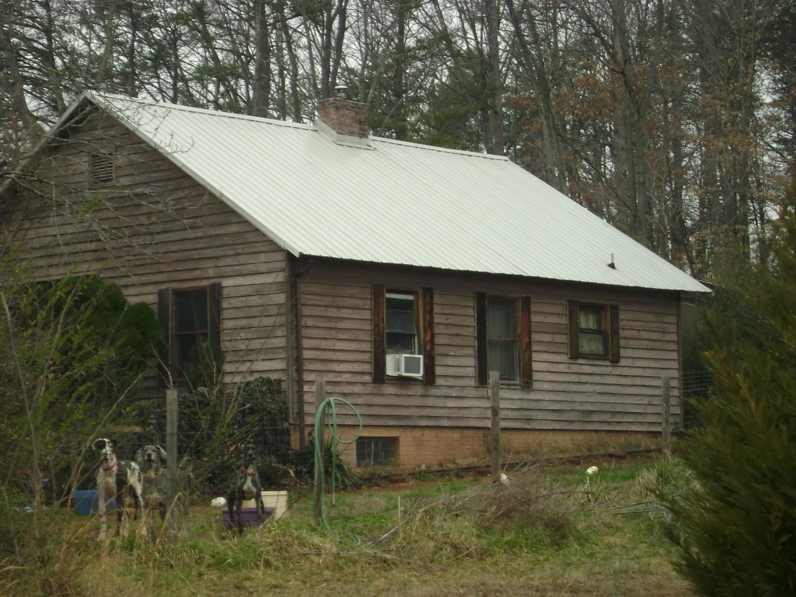 White metal roof on an old wood sided farmhouse, from a Asphalt Shingle Roof Repair job in Abell